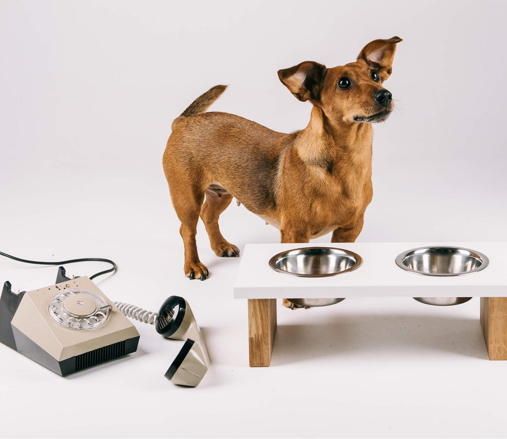 miSTOLČEK - miska pre psa, biela