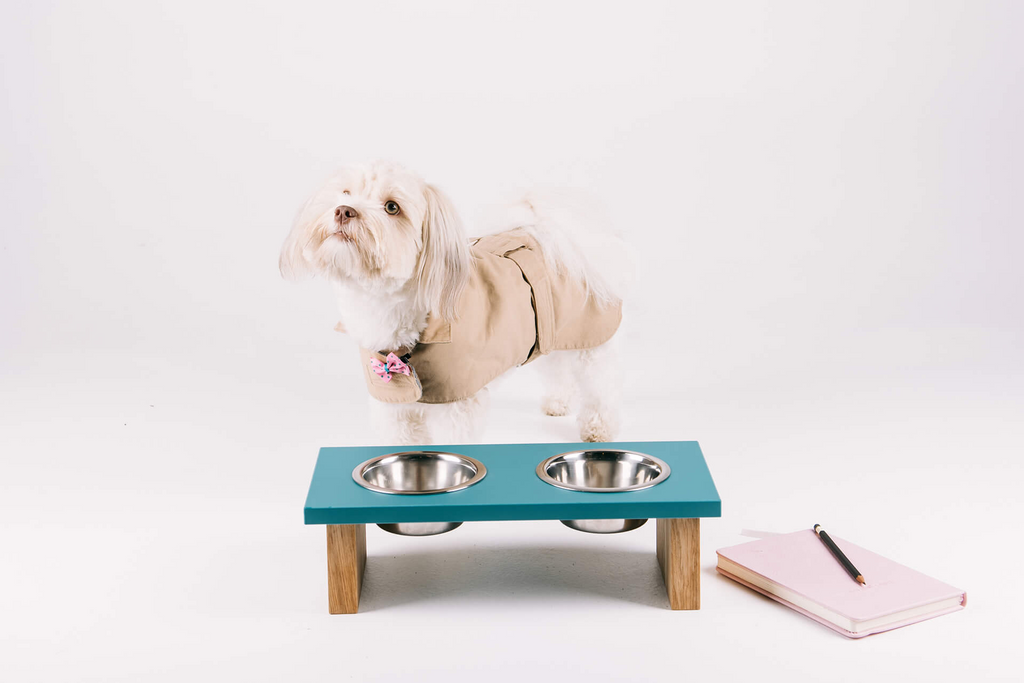 miSTOLČEK - miska pre psa, petrolejová